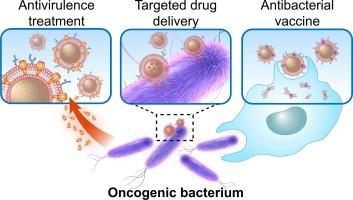 Cell membrane-coated nanoparticles for targeting carcinogenic bacteria