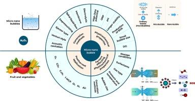 Micro-nano bubble water technology: Sustainable solution for the postharvest quality and safety management of fresh fruits and vegetables – A review