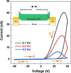 Dynamical self-rectifying memristors based on halide perovskite nanocrystals