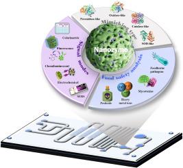 Nanozyme-enabled microfluidic biosensors: A promising tool for on-site food safety analysis