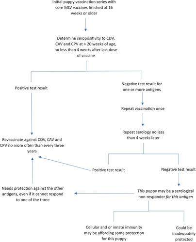 2024 guidelines for the vaccination of dogs and cats – compiled by the Vaccination Guidelines Group (VGG) of the World Small Animal Veterinary Association (WSAVA)