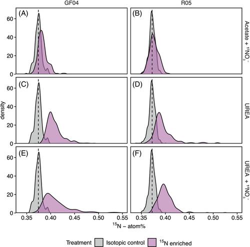 Resting cells of Skeletonema marinoi assimilate organic compounds and respire by dissimilatory nitrate reduction to ammonium in dark, anoxic conditions