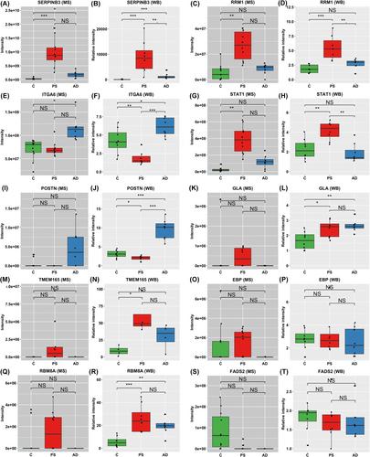 High-throughput proteomic analysis of chronic inflammatory skin diseases: Psoriasis and atopic dermatitis