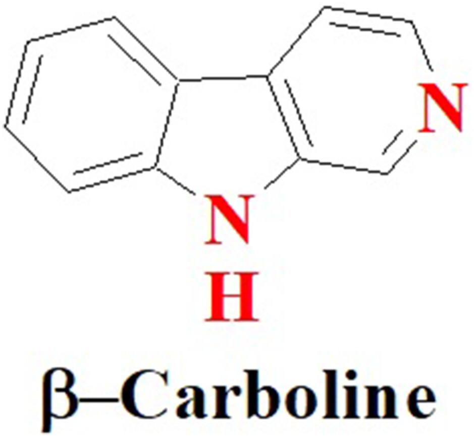 Anticancer mechanisms of β-carbolines