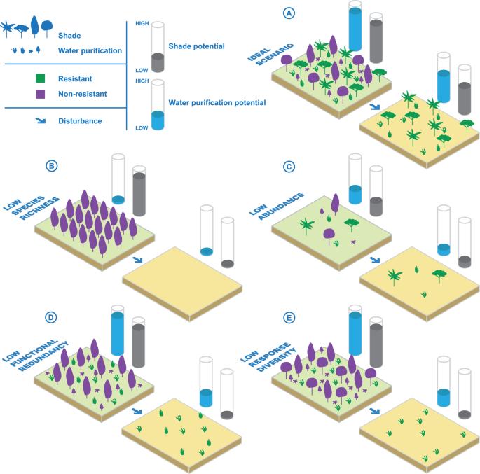 Engineering blue-green infrastructure for and with biodiversity in cities