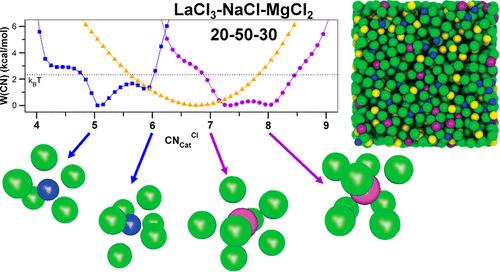 Heterogeneous Structure, Mechanisms of Counterion Exchange, and the Spacer Salt Effect in Complex Molten Salt Mixtures Including LaCl3