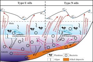 Effects of source facies and maturity on individual carbon isotopic compositions of oil