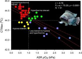 Relatedness of hypoxia and hyperthermia tolerances in the Nile tilapia (Oreochromis niloticus) and their relationships with cardiac and gill traits