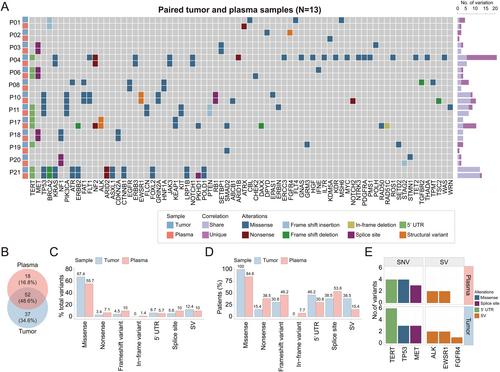 Comprehensive genomic profiling of pulmonary spindle cell carcinoma using tissue and plasma samples: insights from a real-world cohort analysis