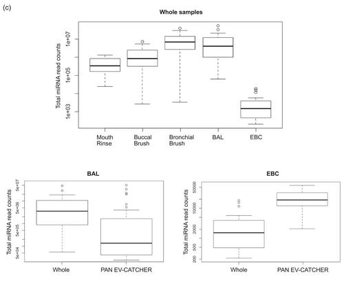 Exhaled breath condensate contains extracellular vesicles (EVs) that carry miRNA cargos of lung tissue origin that can be selectively purified and analyzed