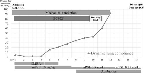 Veno-venous extracorporeal membrane oxygenation for acute respiratory distress syndrome caused by nitrogen dioxide inhalation: A case report