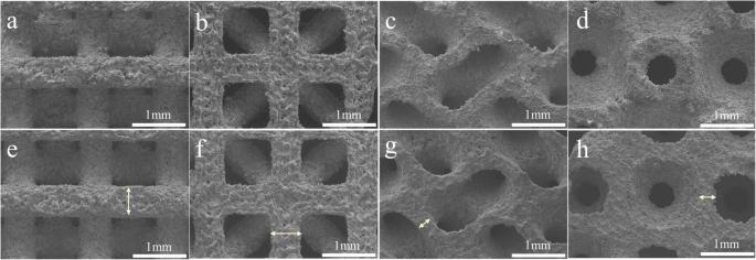 The effect of topological design on the degradation behavior of additively manufactured porous zinc alloy