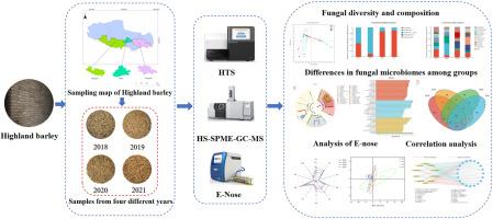 Impact of storage time on microbial communities and flavor profiles in highland barley grains