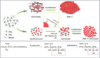 Synthesis of hierarchical ZSM-11 and its catalytic performances during methanol to propylene