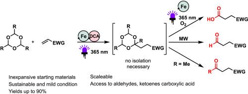 Dual iron- and organophotocatalyzed hydroformylation, hydroacylation and hydrocarboxylation of Michael-acceptors utilizing 1,3,5-trioxanes as C1-Synthone