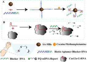 Point-of-care testing of methamphetamine and cocaine utilizing wearable sensors