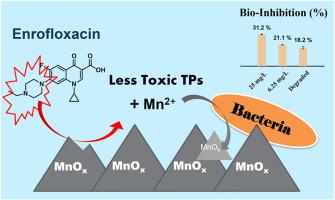 Degradation of enrofloxacin with natural manganese oxides and enhancement by manganese oxidizing bacteria