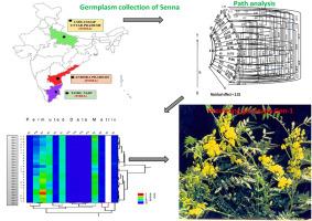 Recent advances in the genetic parameters and prospects of cultivation of the climate-smart herb senna (Senna alexandrina Mill.): A significant industrial medicinal crop