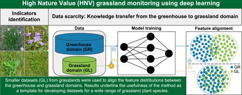 Deep learning-based detection of indicator species for monitoring biodiversity in semi-natural grasslands