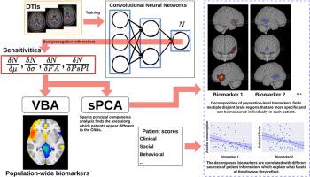 Non-local diffusion-based biomarkers in patients with cocaine use disorder