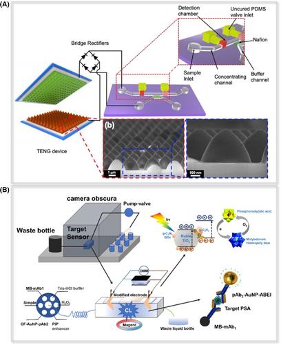 Flexible electronic materials and devices toward portable immunoassays