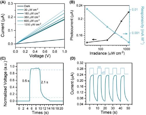 Flexible UV photodetector based on copper tetraiodogallate (CuGaI4) film