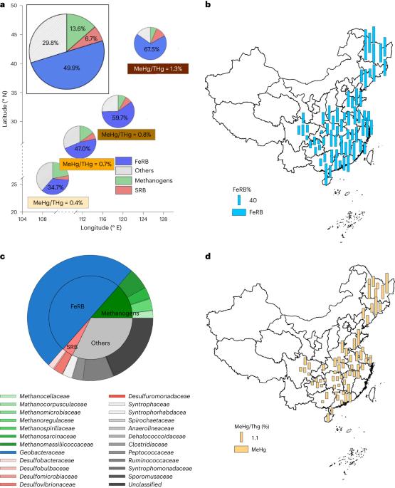 Soil Geobacteraceae are the key predictors of neurotoxic methylmercury bioaccumulation in rice