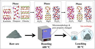 Extract lithium from clay-type lithium ore by mixed acid and its mechanism