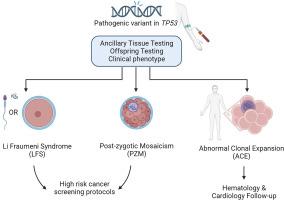 Clinical management of TP53 mosaic variants found on germline genetic testing