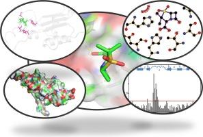 NMR insights into β-Lactamase activity of UVI31+ Protein from Chlamydomonas reinhardtii