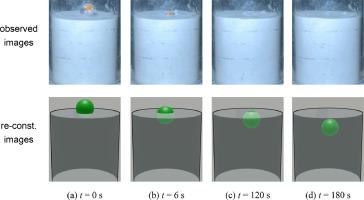 Three-dimensional wireless measurement of float–sink object motions in a gas–solid fluidized bed