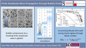 Finite amplitude wave propagation through bubbly fluids