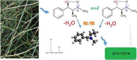 Direct infusion mass spectrometric analysis of ephedrine and pseudoephedrine