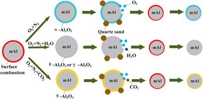 Combustion characteristics of millimeter-sized aluminum particles in fluidized bed under various O2/CO2/H2O atmospheres