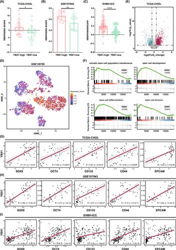 YBX1 promotes stemness and cisplatin insensitivity in intrahepatic cholangiocarcinoma via the AKT/β-catenin axis