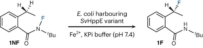 Enzymatic radical fluorine transfer