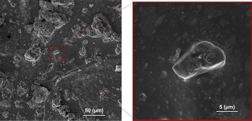 Biodegradable electrospun poly(L-lactide-co-ε-caprolactone)/polyethylene glycol/bioactive glass composite scaffold for bone tissue engineering