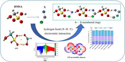 Interaction between hydroxymethanesulfonic acid and several organic compounds and its atmospheric significance