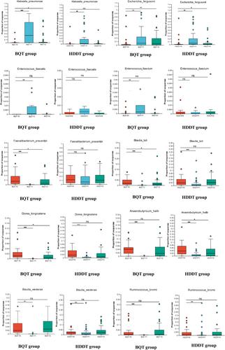 Dynamic changes in the gut microbiota after bismuth quadruple therapy and high-dose dual therapy for Helicobacter pylori eradication