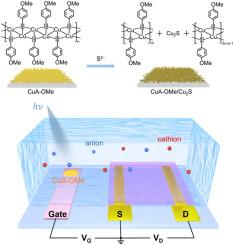 Metal-organic polymer enables efficient organic photoelectrochemical transistor biosensing
