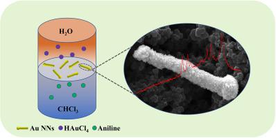 Facile interfacial synthesis of gold micronails with adjustable length and roughness and their superior SERS properties for the detection of p-aminothiophenol