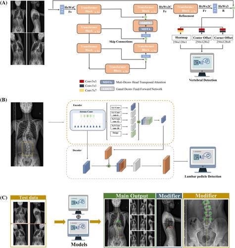 Automatic Lenke classification of adolescent idiopathic scoliosis with deep learning