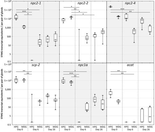 Expression of honey bee (Apis mellifera) sterol homeostasis genes in food jelly producing glands of workers