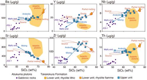 Arc volcanism initiated on the eastern margin of Eurasia during the Early Cretaceous: Geochemistry of the Takanokura volcanic rocks in the Abukuma Mountains, Northeast Japan