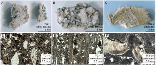 Compositional Remote Sensing and Hyperspectral Laboratory Analyses of Sinters in Hydrothermal Fields in Chile, With Relevance to Astrobiological Targets on Mars