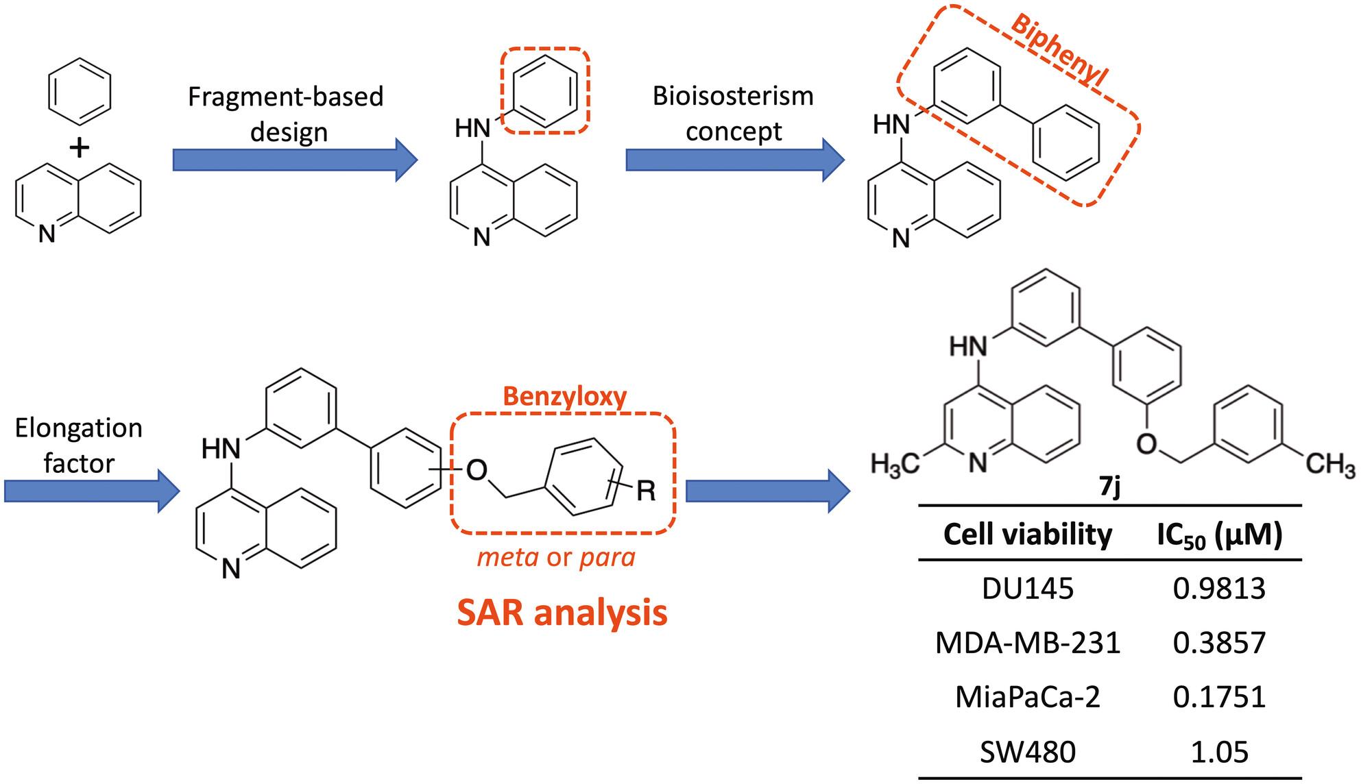 Synthesis and SAR investigation of biphenylaminoquinoline derivatives with benzyloxy substituents as promising anticancer agents