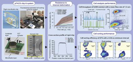 A rigid microfluidic chip for high-throughput fluorescence-activated cell sorting