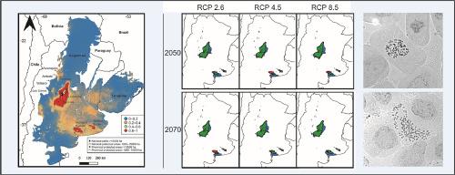 Facing climate change: Range dynamics and chromosome diversity in Hedeoma multiflora Benth., a South American aromatic-medicinal plant at risk