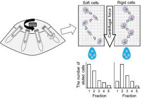 An initial study of cell separation based on mechanical properties using a sponge-like monolithic polymer