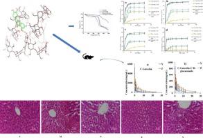 β-Cyclodextrin metal-organic framework as a green carrier to improve the dissolution, bioavailability, and liver protective effect of luteolin